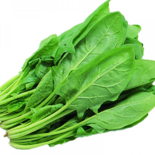 Cải bó xôi