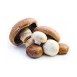 Các mặt hàng nấm